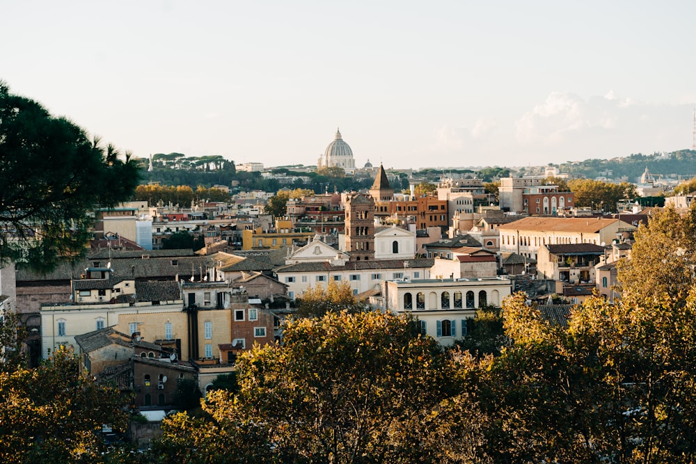 a view of a city with a dome in the background