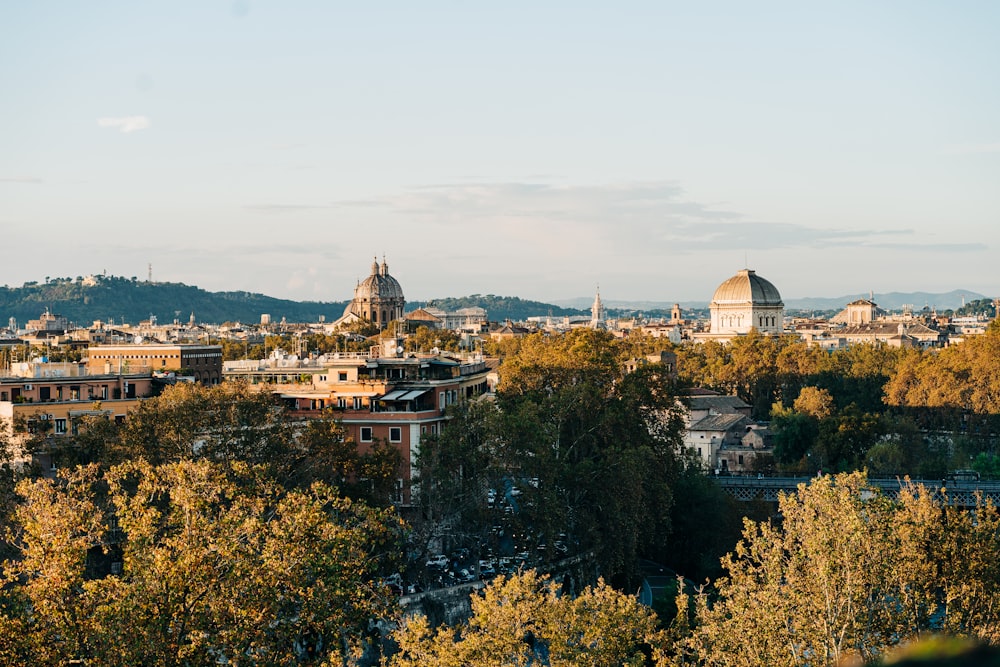 a view of a city with a dome in the background