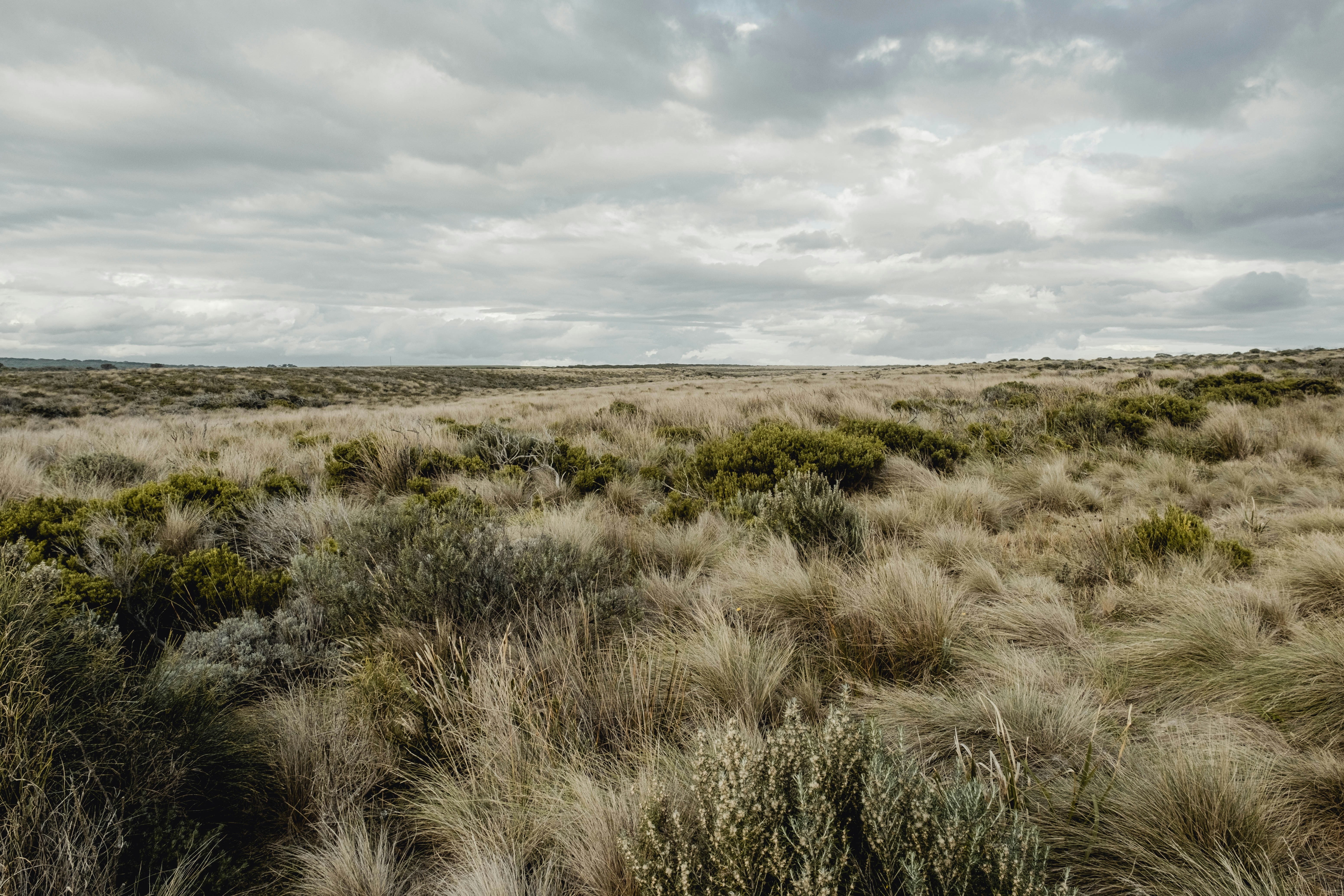 Photo by hangahliong