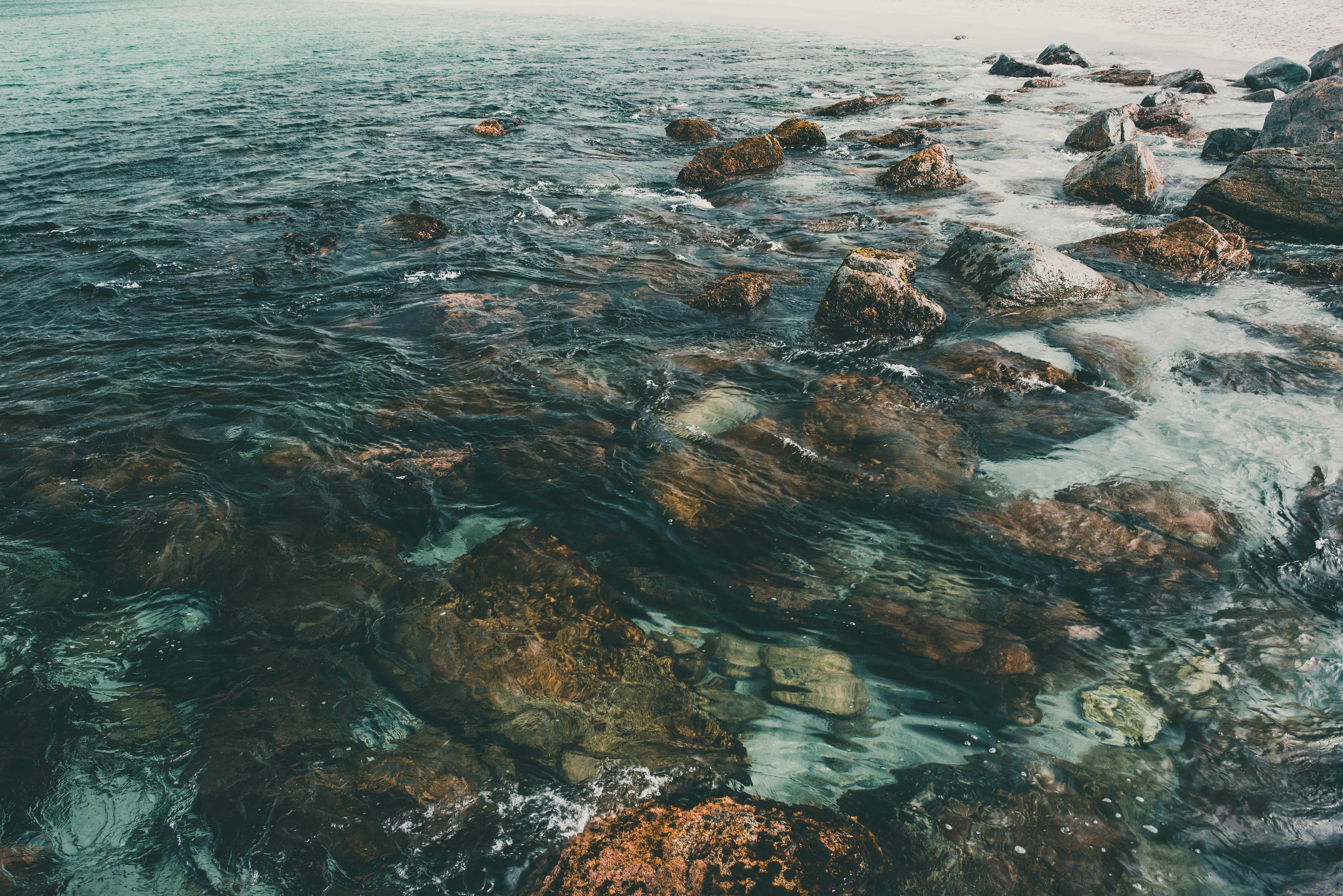 Photo by hangahliong