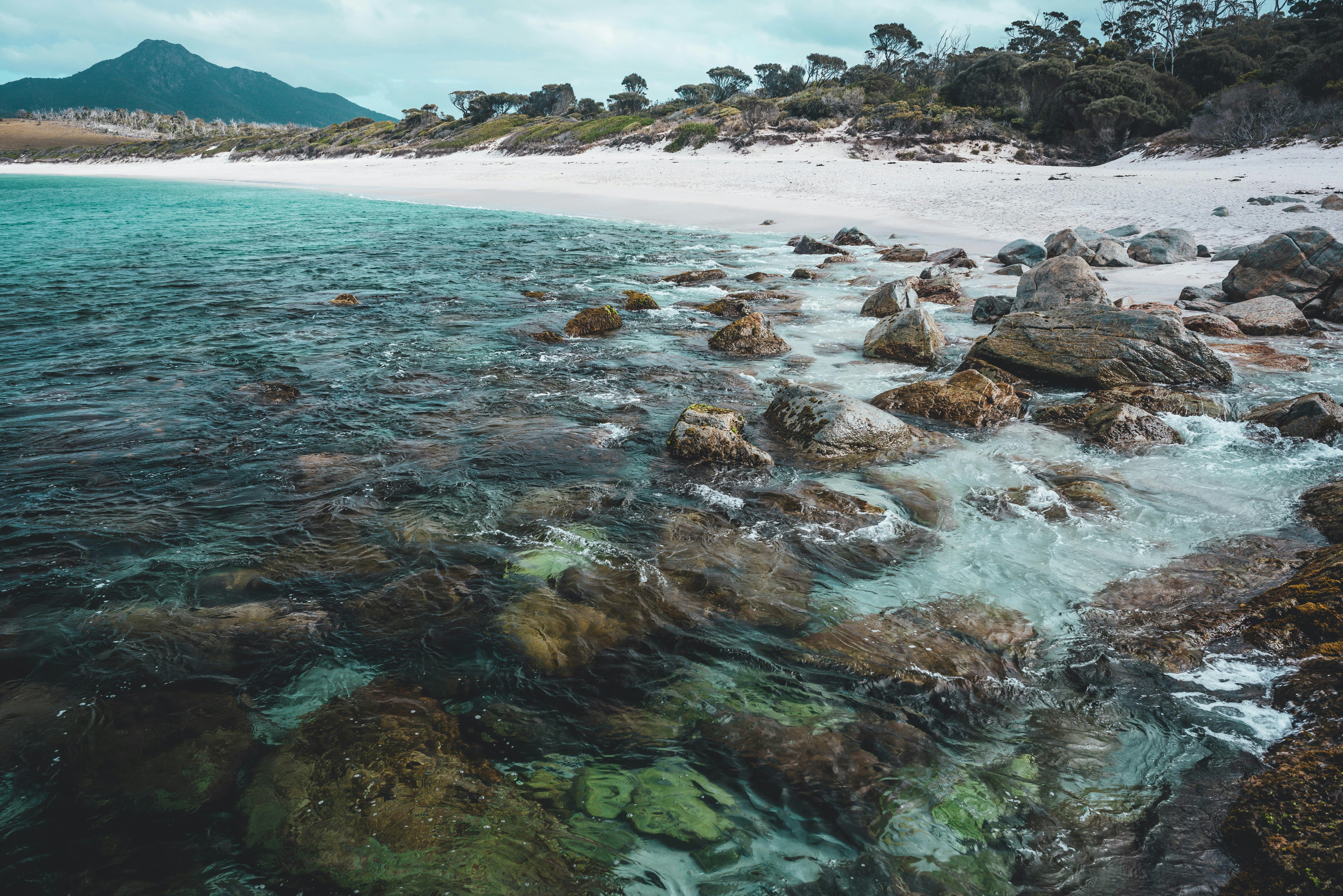 Photo by hangahliong