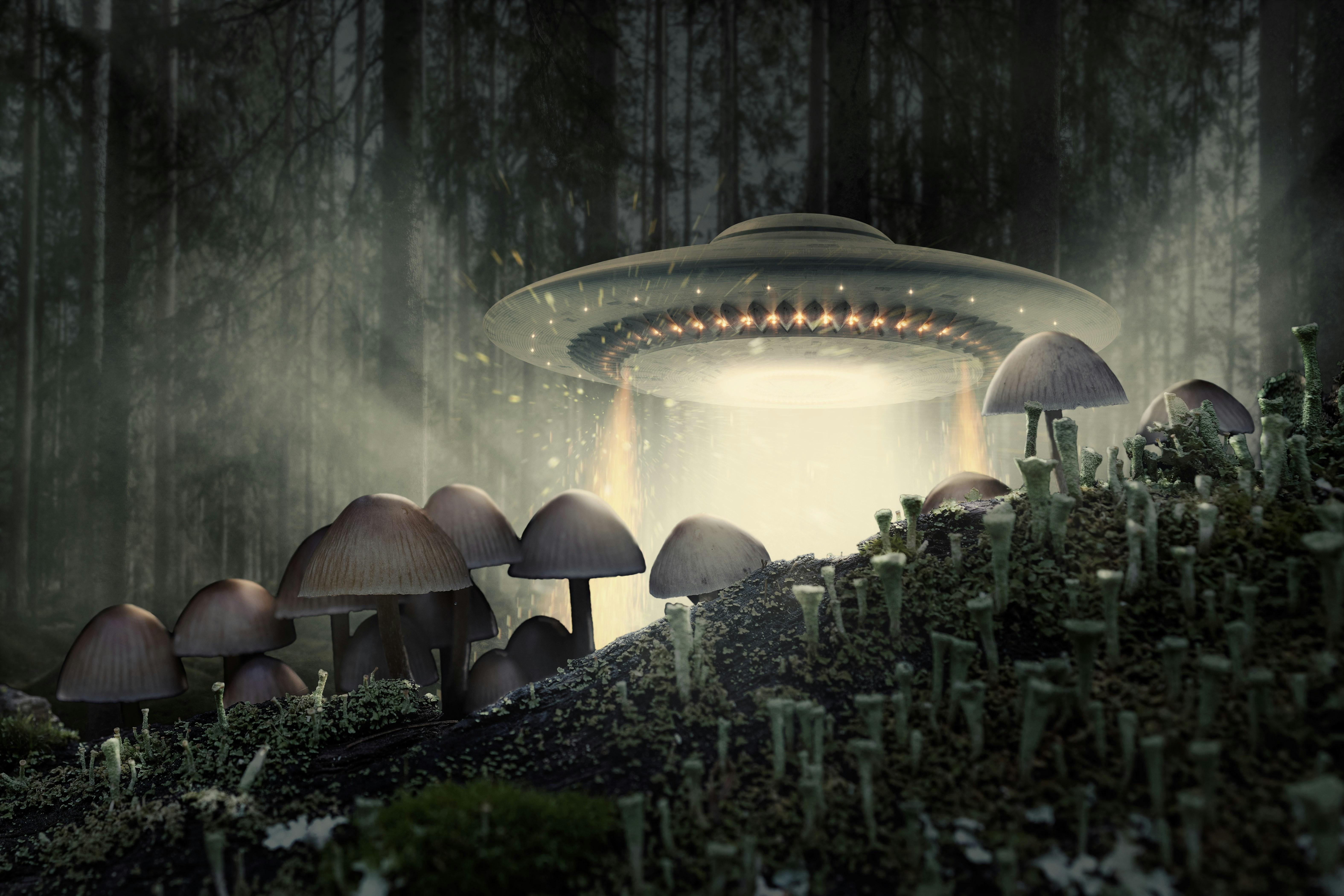 UFO landing in the forest with mushrooms in the foreground