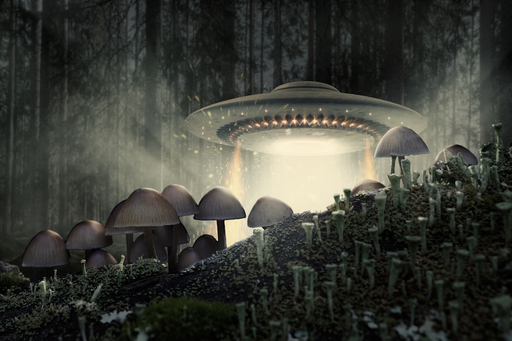 a mushroom house in the middle of a forest