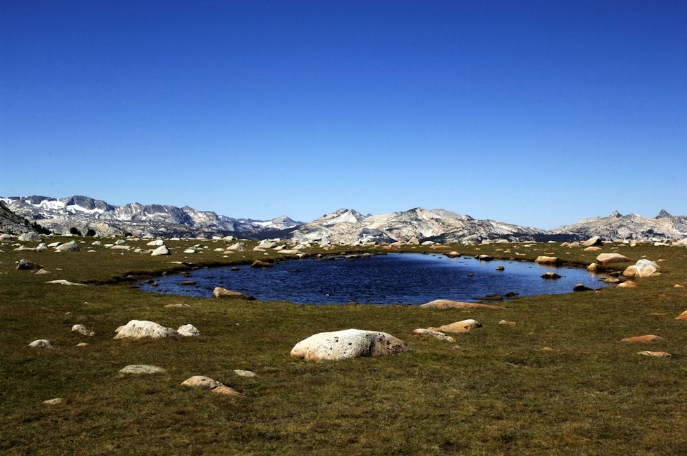 ein kleiner Teich in einem grasbewachsenen Feld mit Bergen im Hintergrund