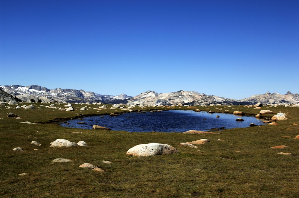 a small pond in a grassy field with mountains in the background