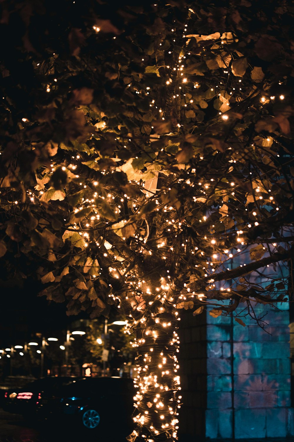 a tree with a lot of lights on it