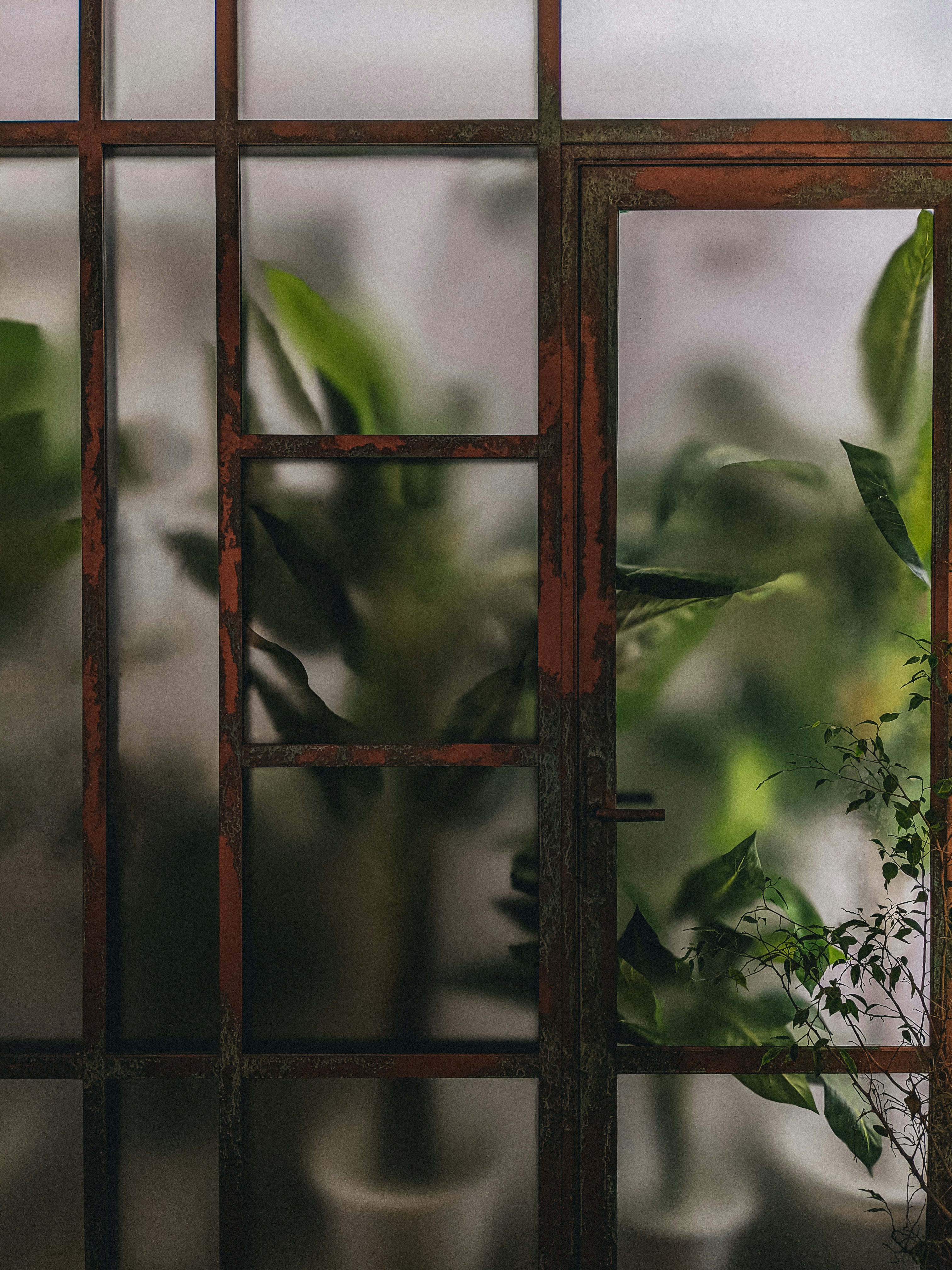 Photo by thecyclichedgehog