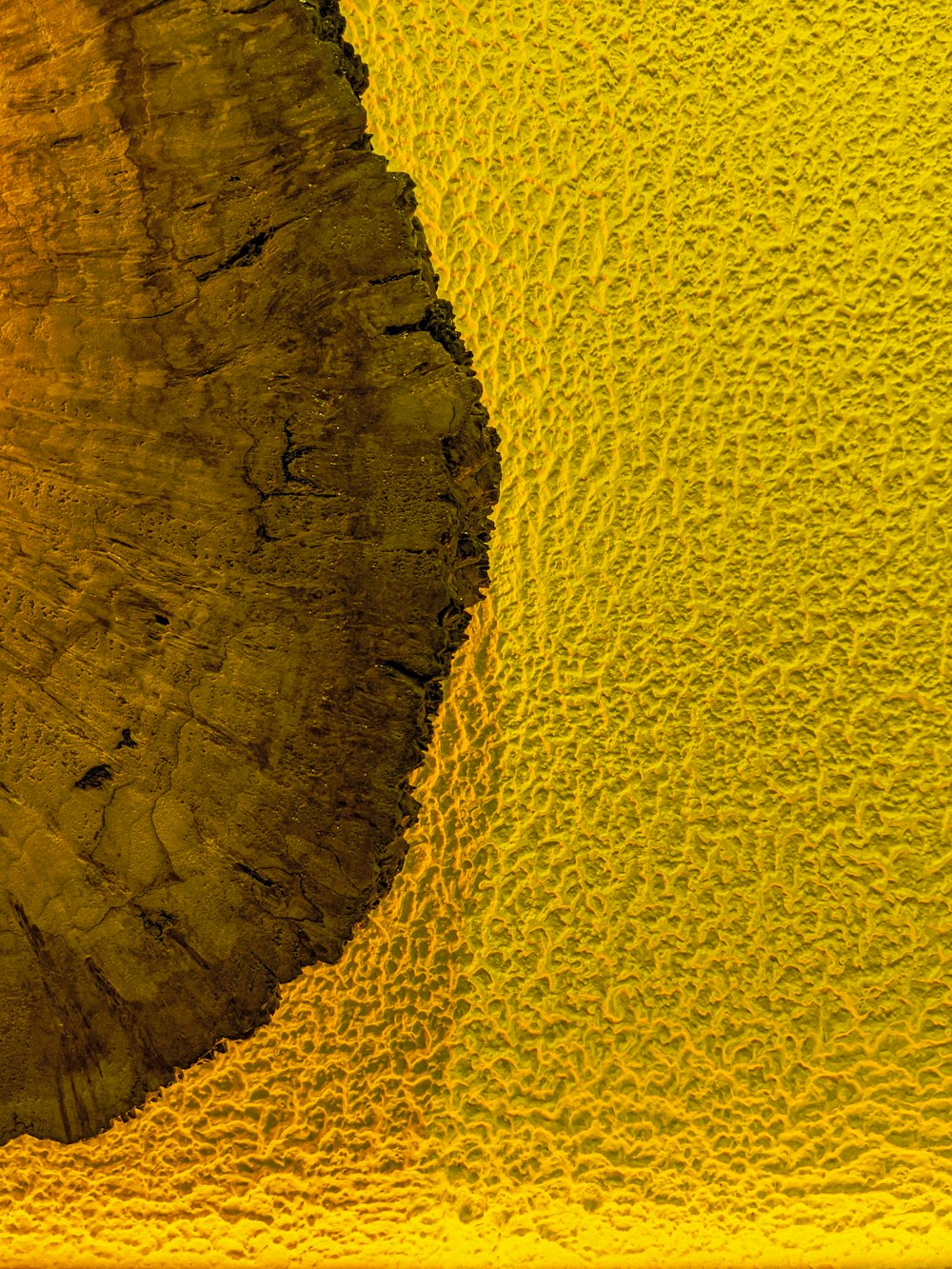 a close up of a piece of wood with a yellow background