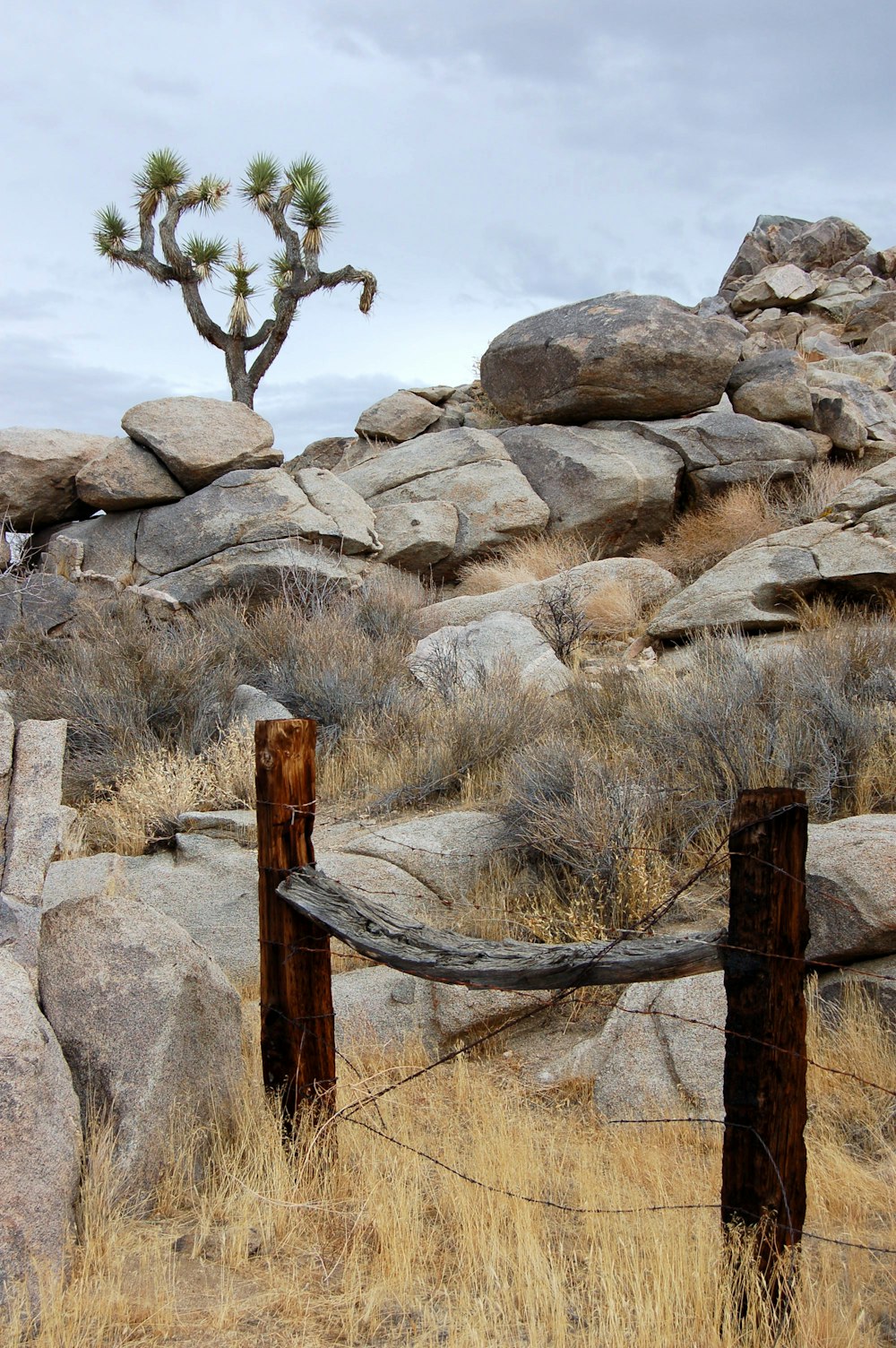 a wooden fence in front of some rocks and a cactus