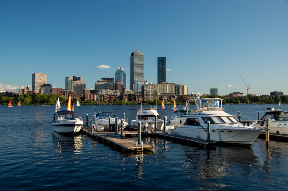 a group of boats docked at a dock in front of a city