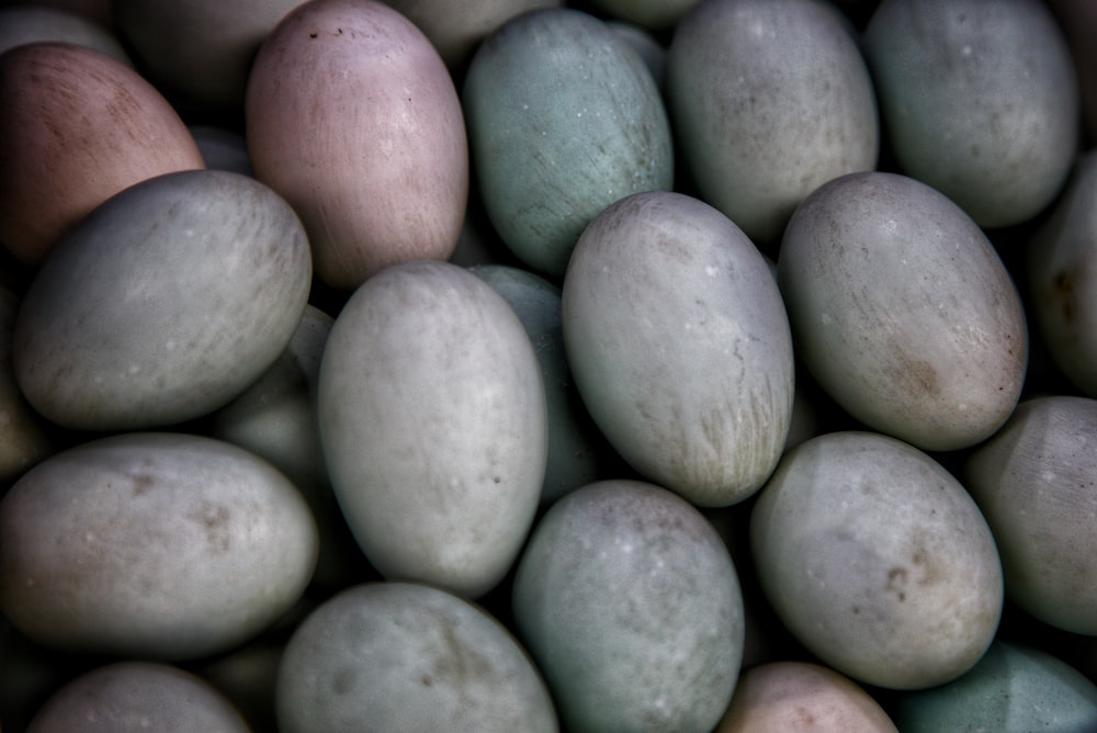a close up of a bunch of eggs