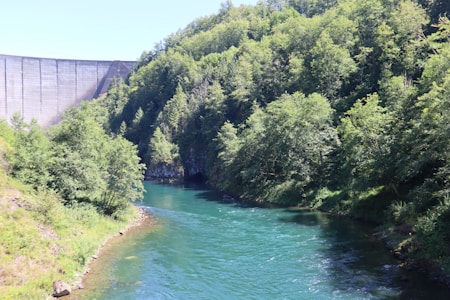 A river flows through a lush, forested area with dense green trees on its banks. To the left, a large concrete dam wall is visible, contrasting with the natural surroundings. Sunlight dapples through the foliage, reflecting off the clear blue-green water.