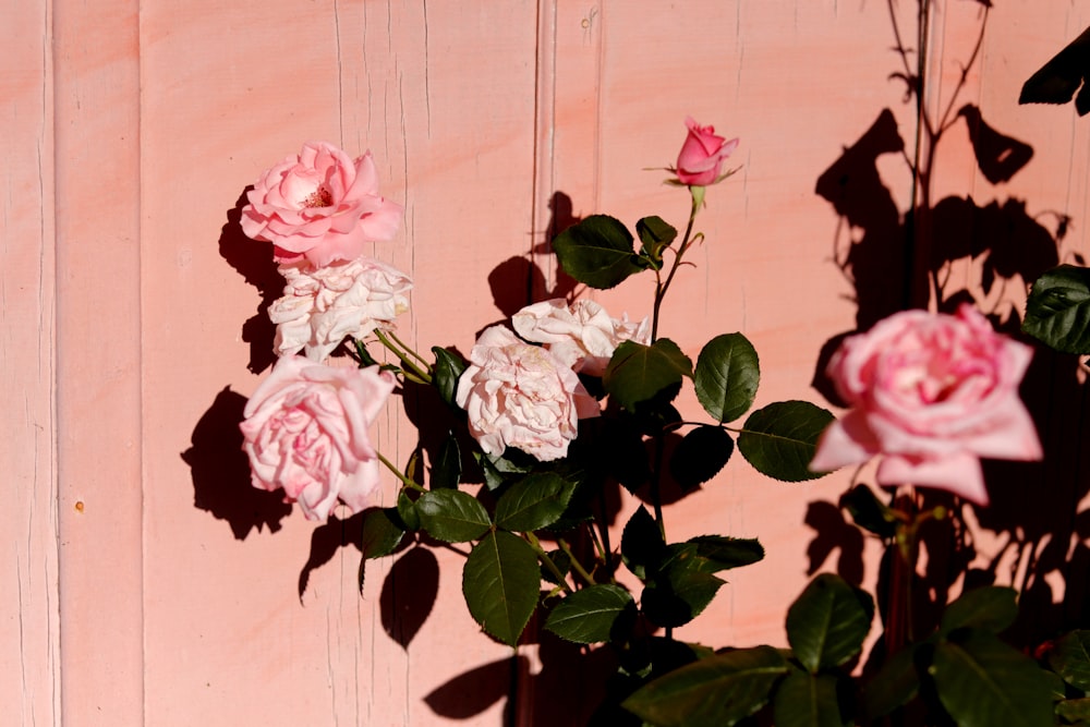 a pink wall with some pink flowers on it