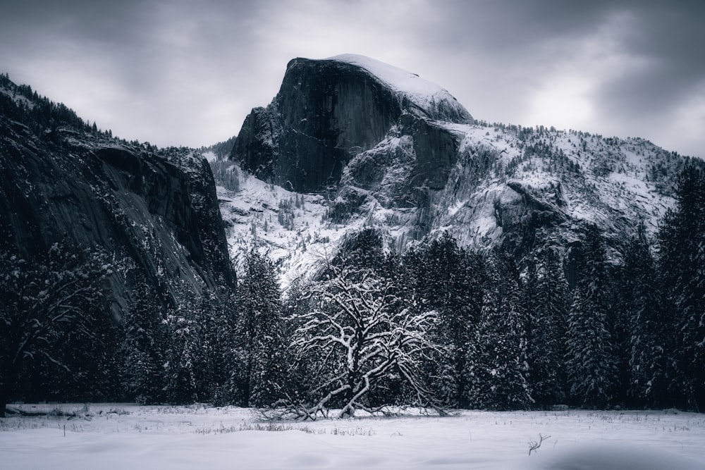 a snowy landscape with a mountain in the background