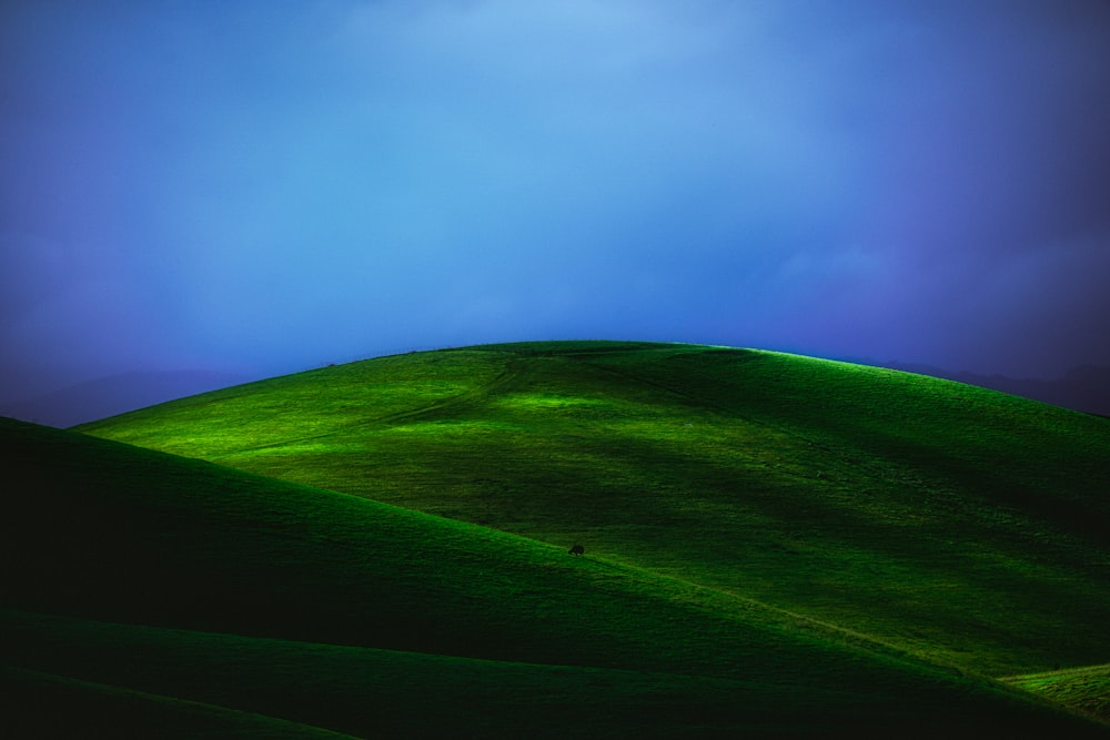 a green hill with a blue sky in the background