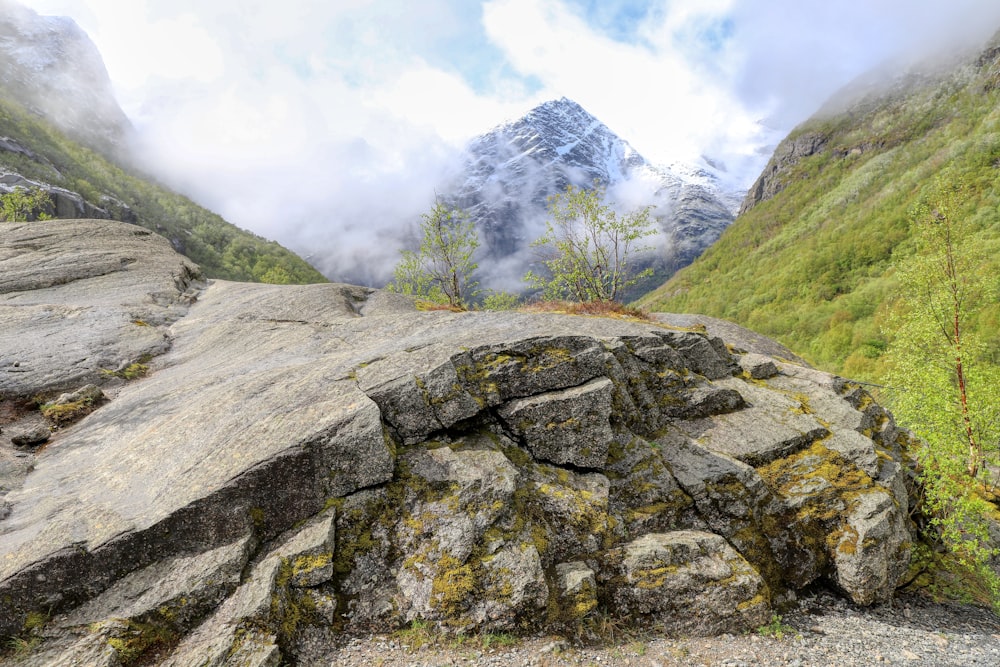 a rocky outcropping with a mountain in the background