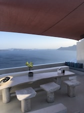 a table with benches and a potted plant on top of it