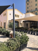 A friendly building manager speaking with residents in a sunny courtyard.