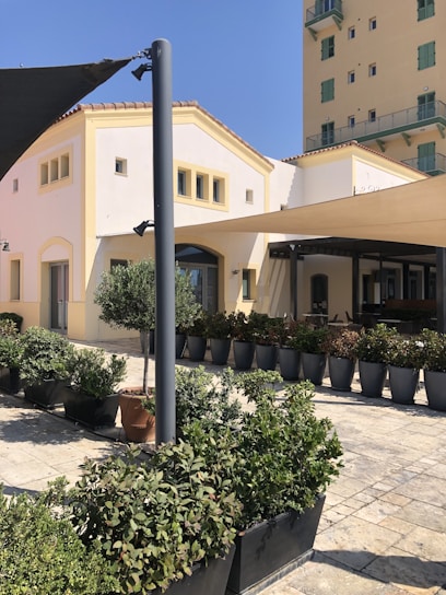 A sunny courtyard of a residential building managed by pāles medņi with blooming flower beds.