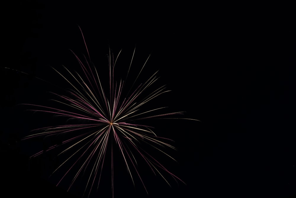 a fireworks is lit up in the dark sky