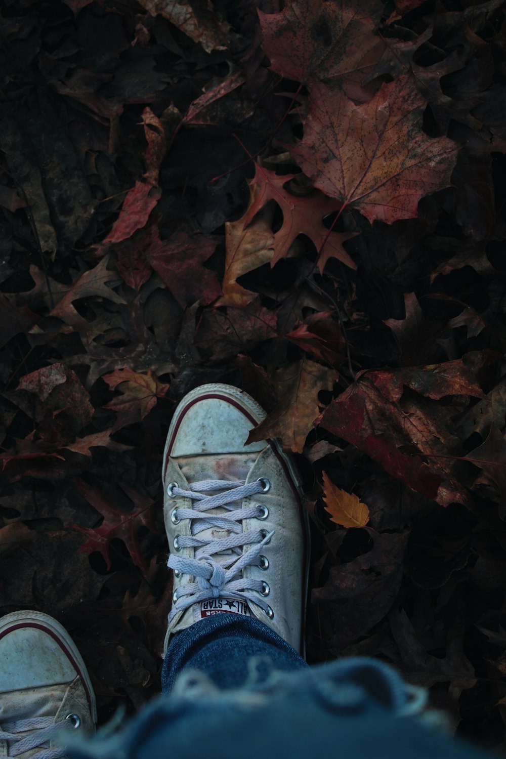 a person's feet in white sneakers on a carpet of leaves