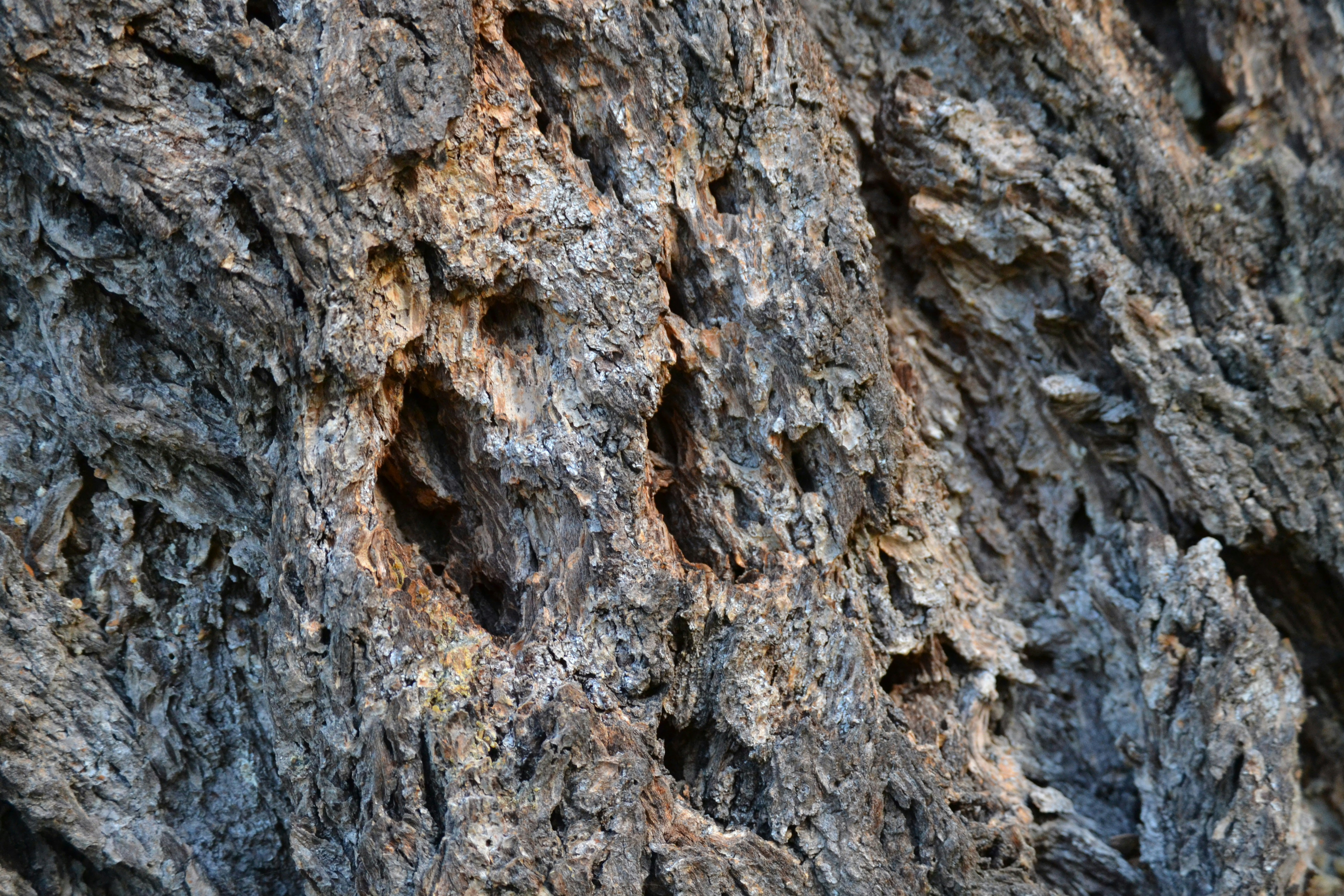 Photo by kathyryn_tripp