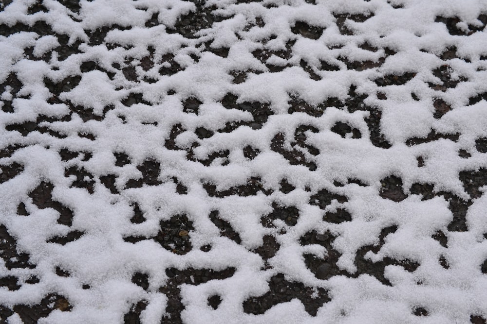 a close up of snow on the ground