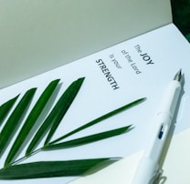 A page with a motivational quote is paired with a green plant leaf and a white fountain pen. The quote reads 'The joy of the Lord is your strength.' The setting conveys a serene and inspirational atmosphere.