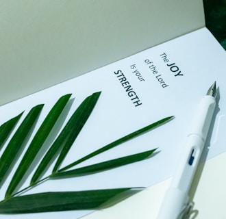 A page with a motivational quote is paired with a green plant leaf and a white fountain pen. The quote reads 'The joy of the Lord is your strength.' The setting conveys a serene and inspirational atmosphere.