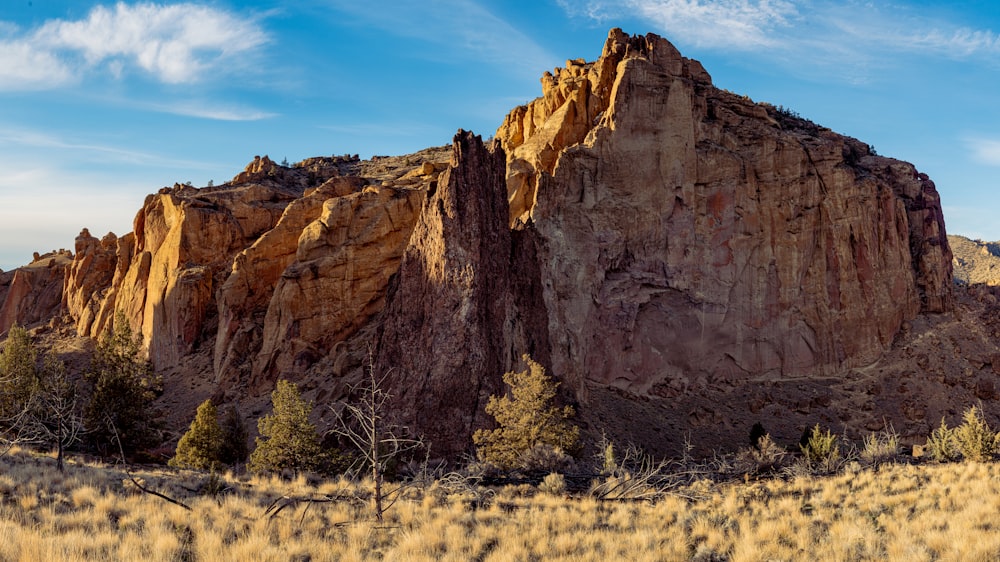 a large rock formation in the middle of a field