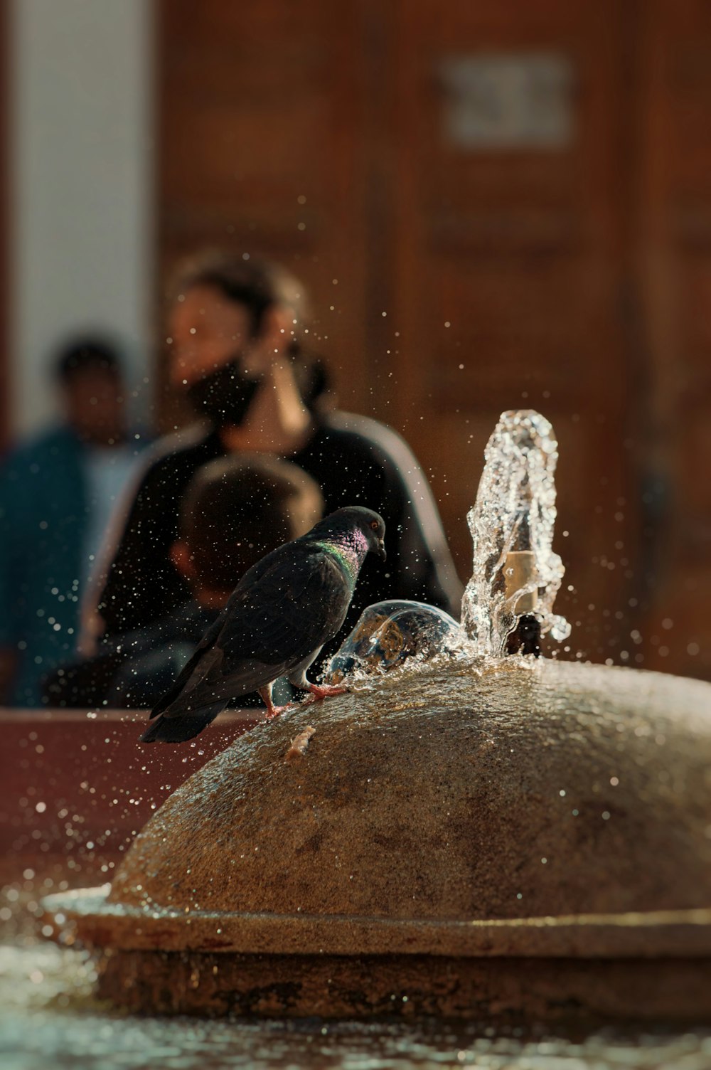 a bird sitting on top of a water fountain