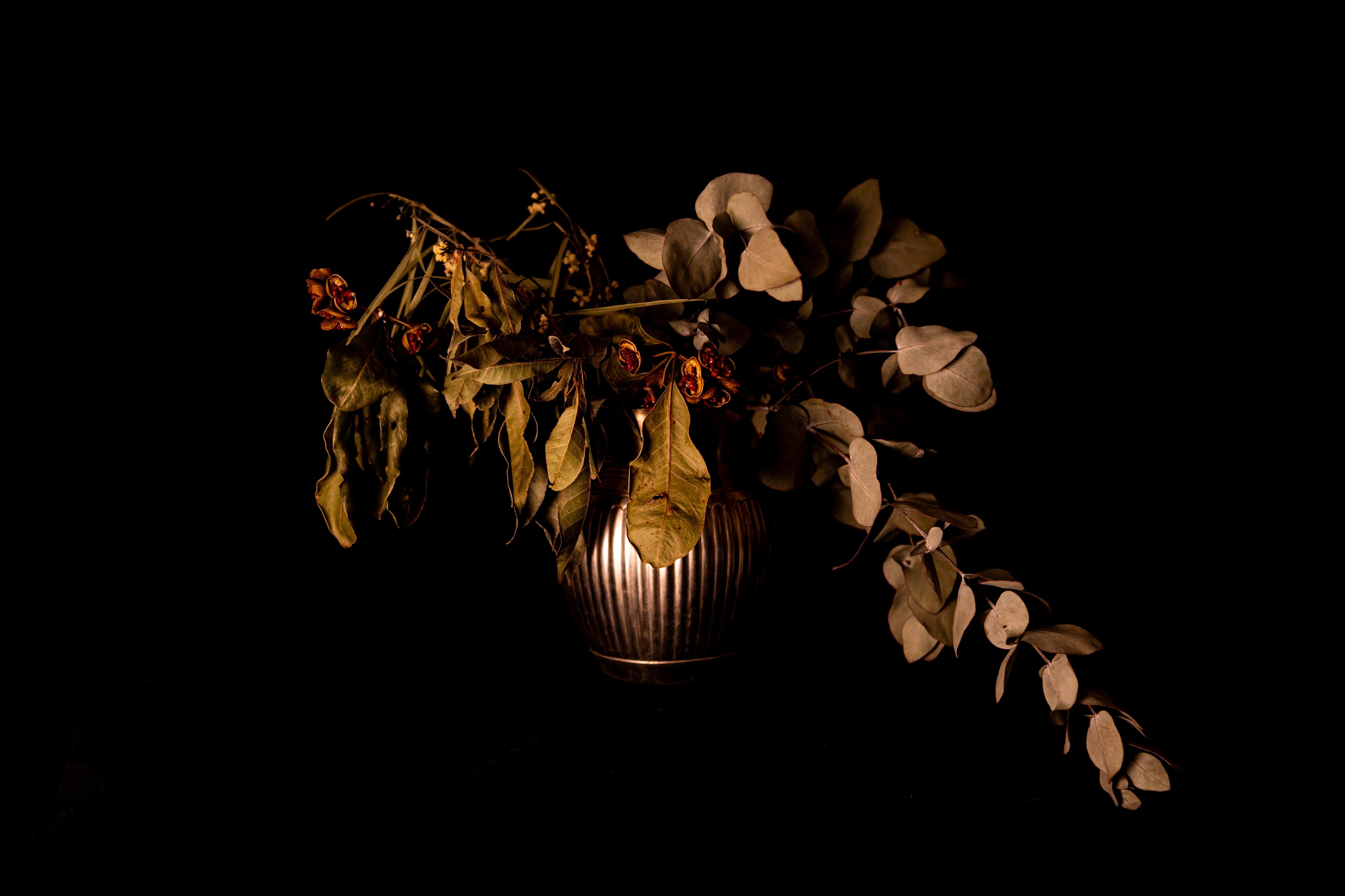 Photo by ogphotographyau