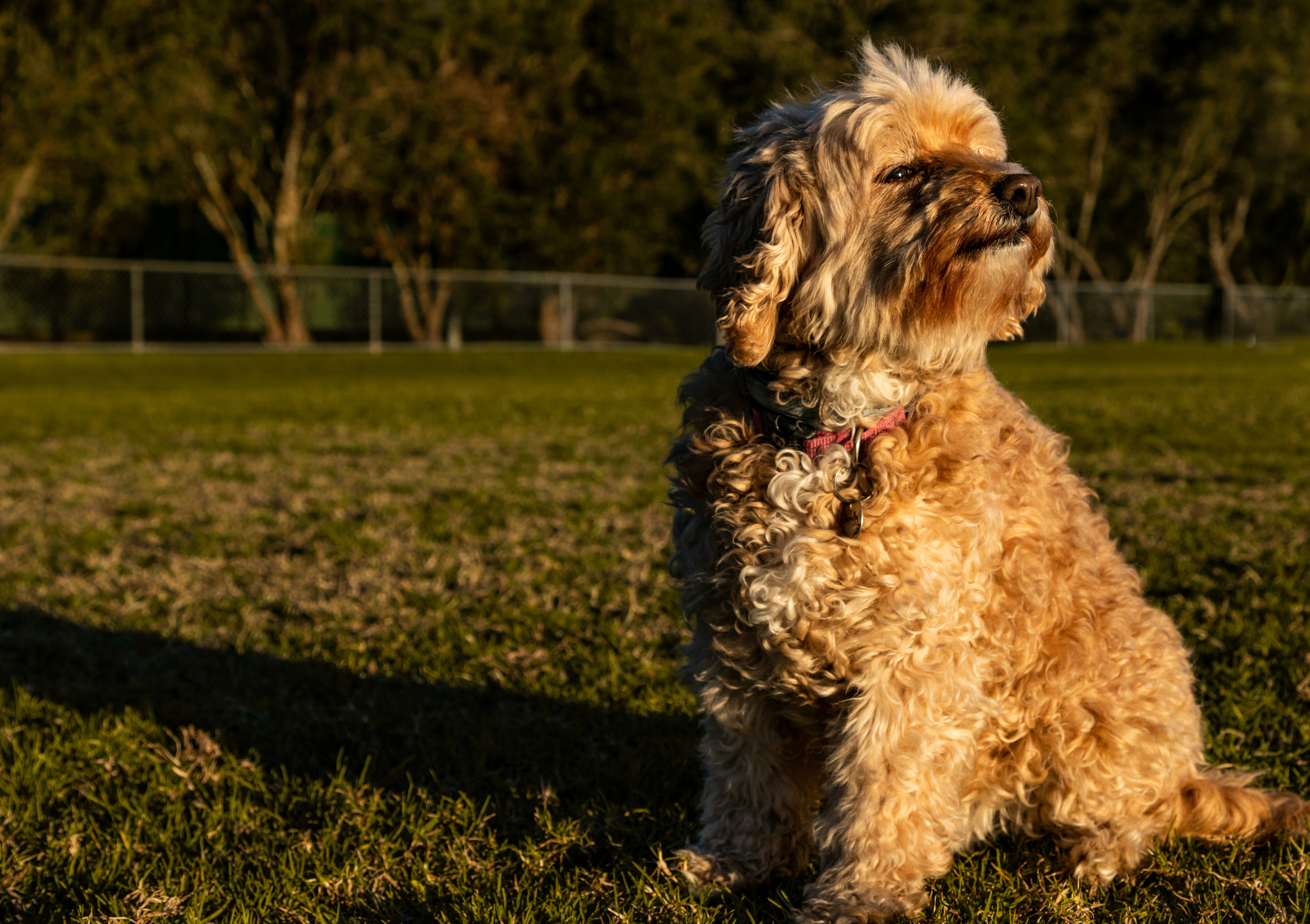 Photo by ogphotographyau