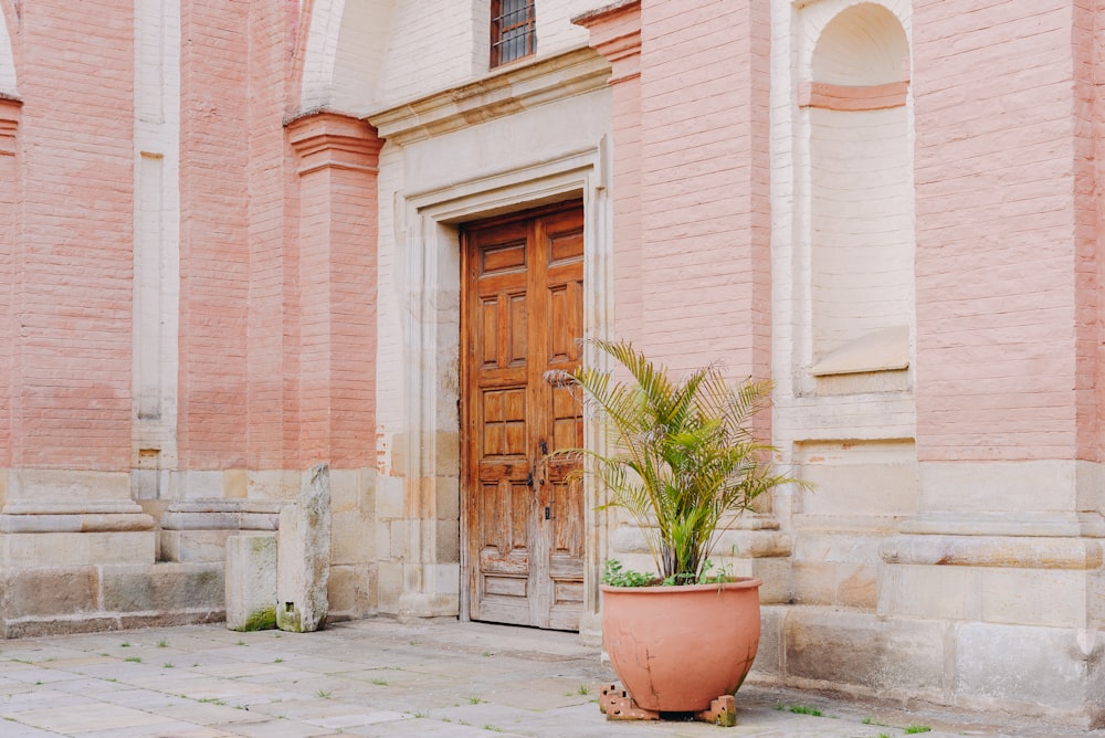 a potted plant sitting in front of a wooden door