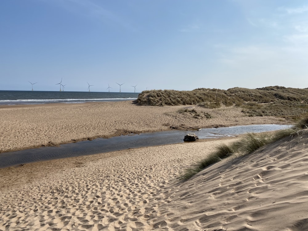 a river running through a sandy beach next to the ocean