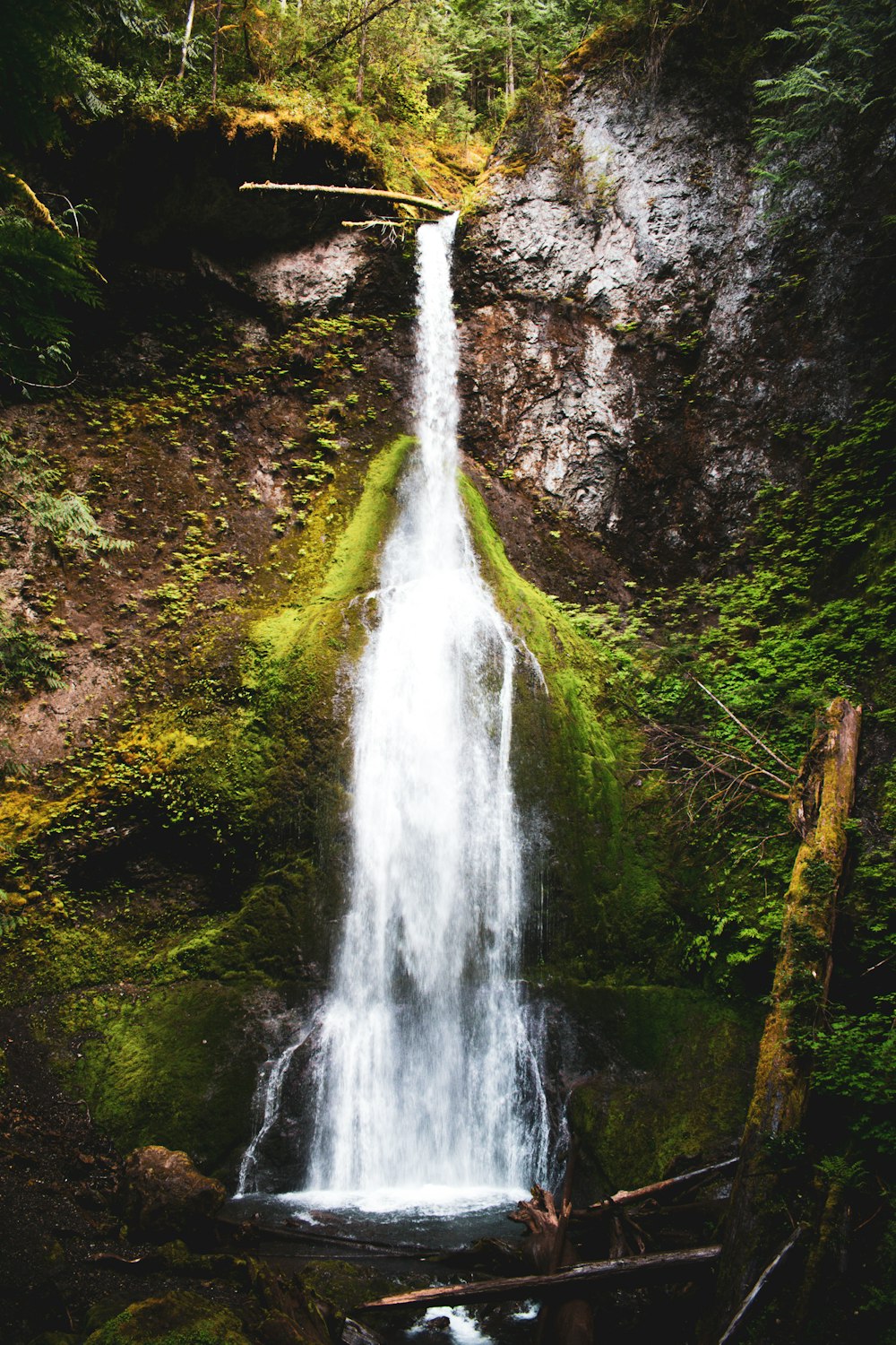 a large waterfall in the middle of a forest