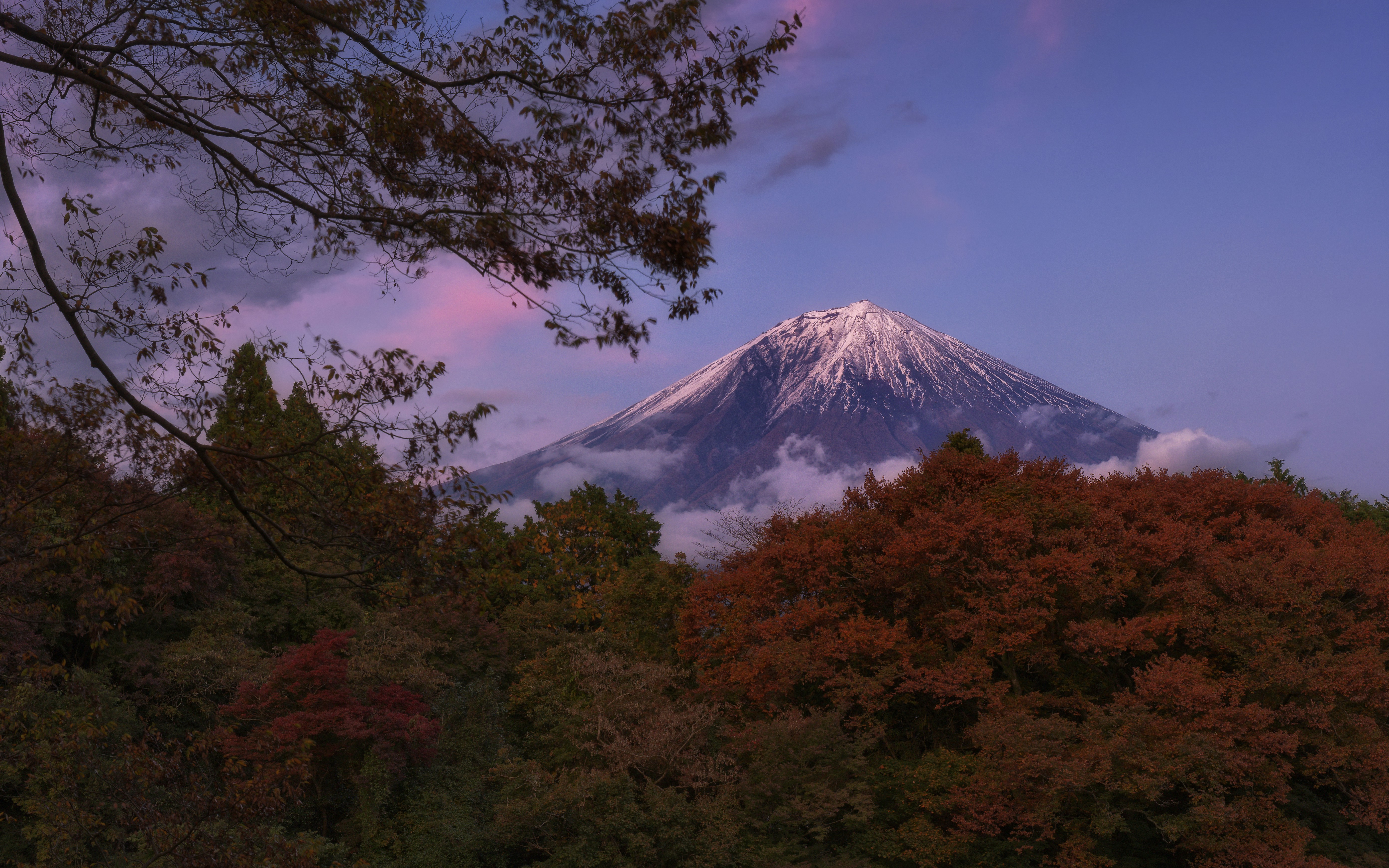 Photo by miyatankun