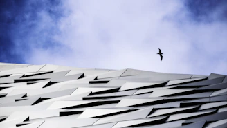 A sleek blue line art eagle soaring above a modern home and office building under a clear sky.