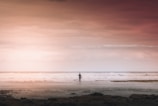 A solitary figure stands on a vast, empty beach facing the ocean, surrounded by a soft, warm light from the sky. The horizon line separates the calm, expansive sea from the dramatic, cloudy sky above, creating a serene and introspective scene.