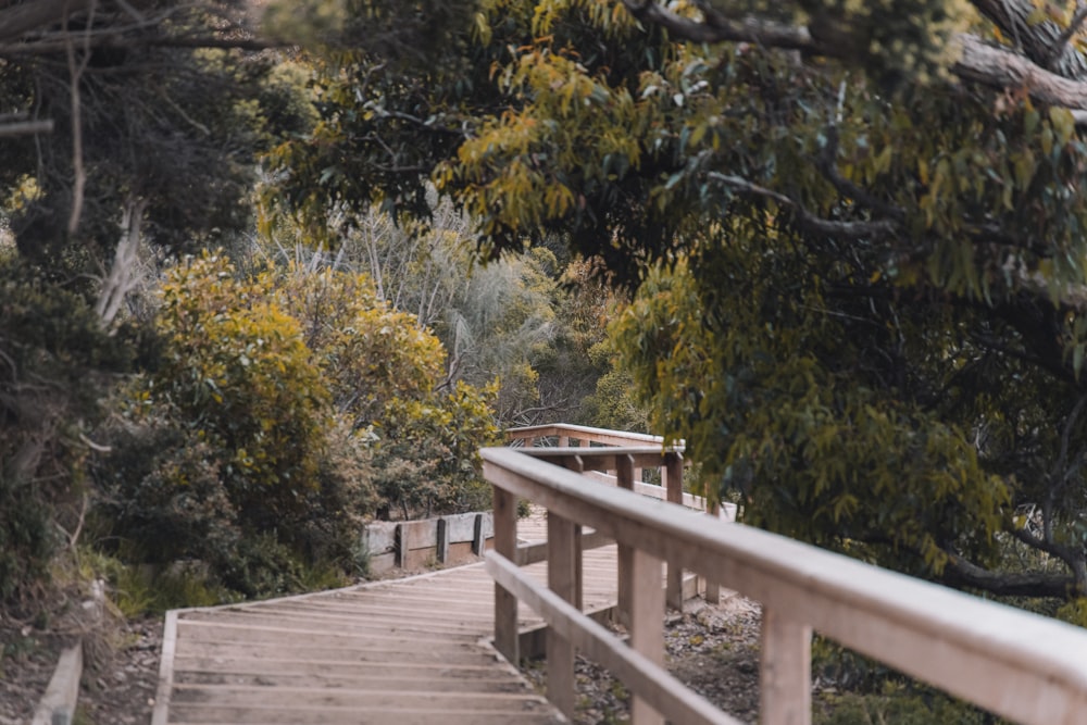 a wooden bridge over a river surrounded by trees