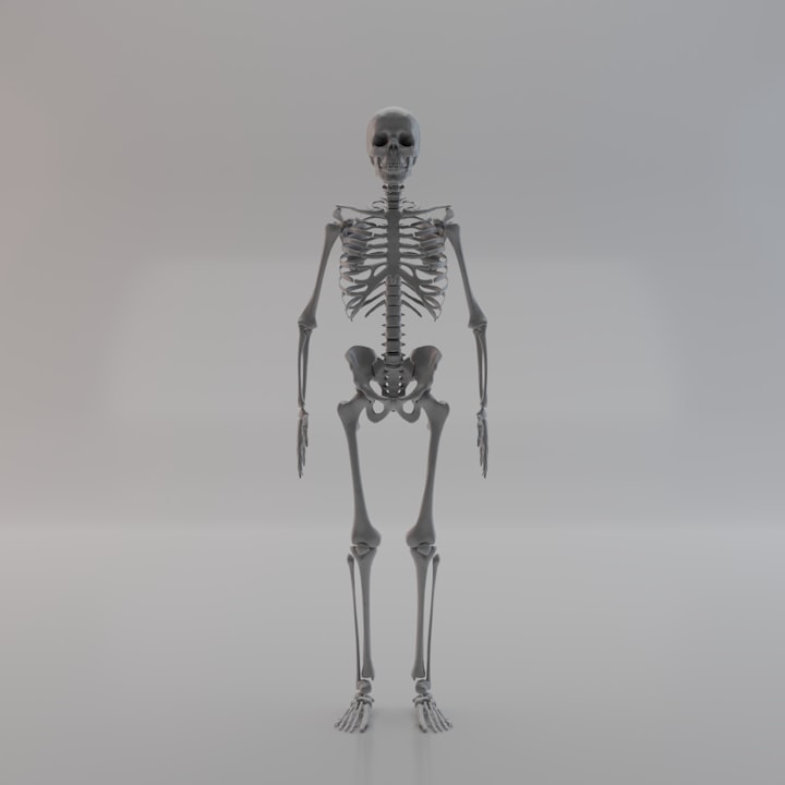 The Skeletal System in Death and Beyond