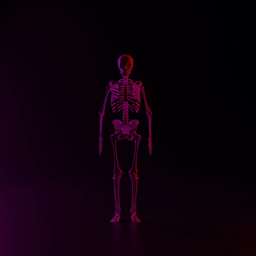 a skeleton standing in the dark with a purple background