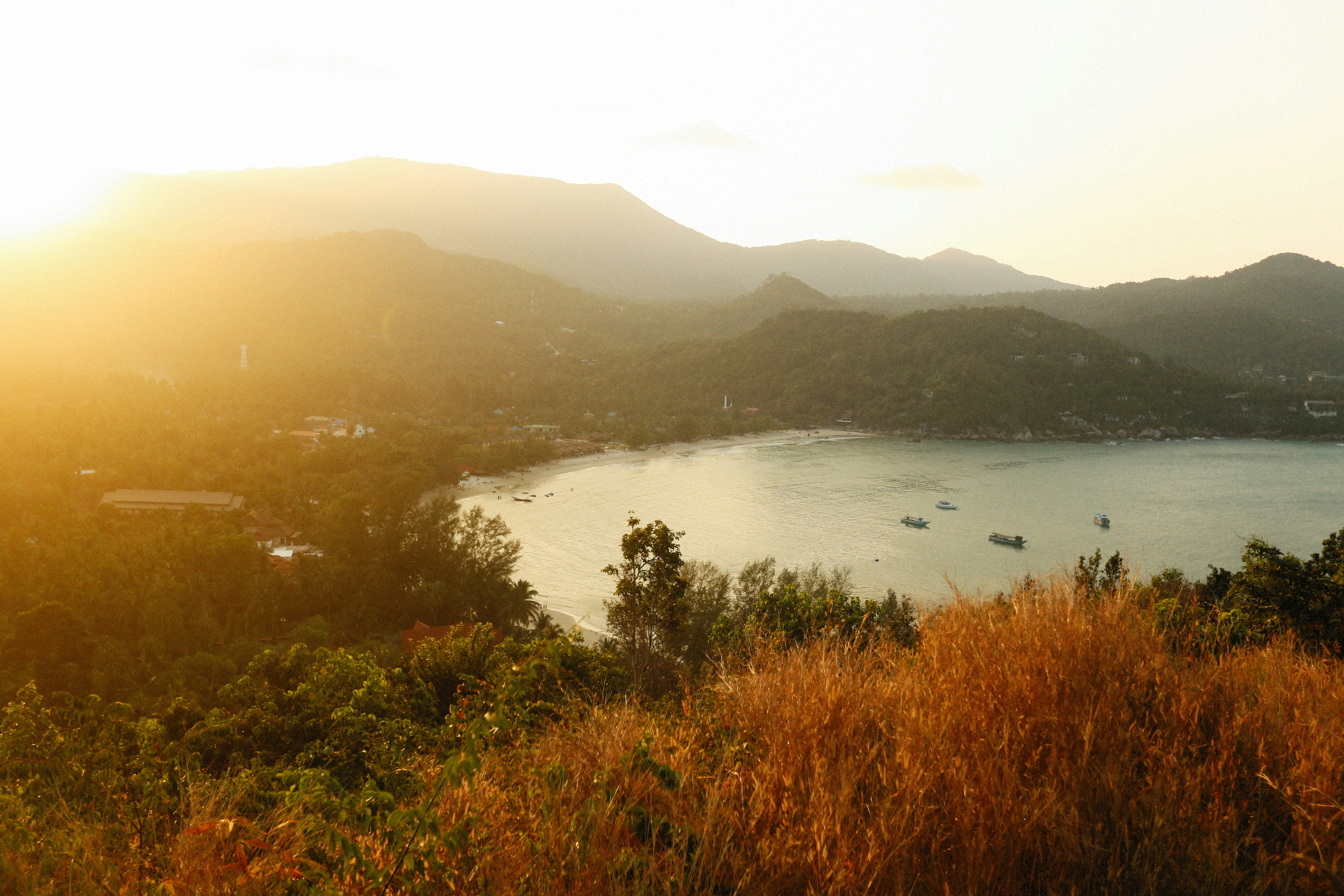 Photo by alexeydemidov