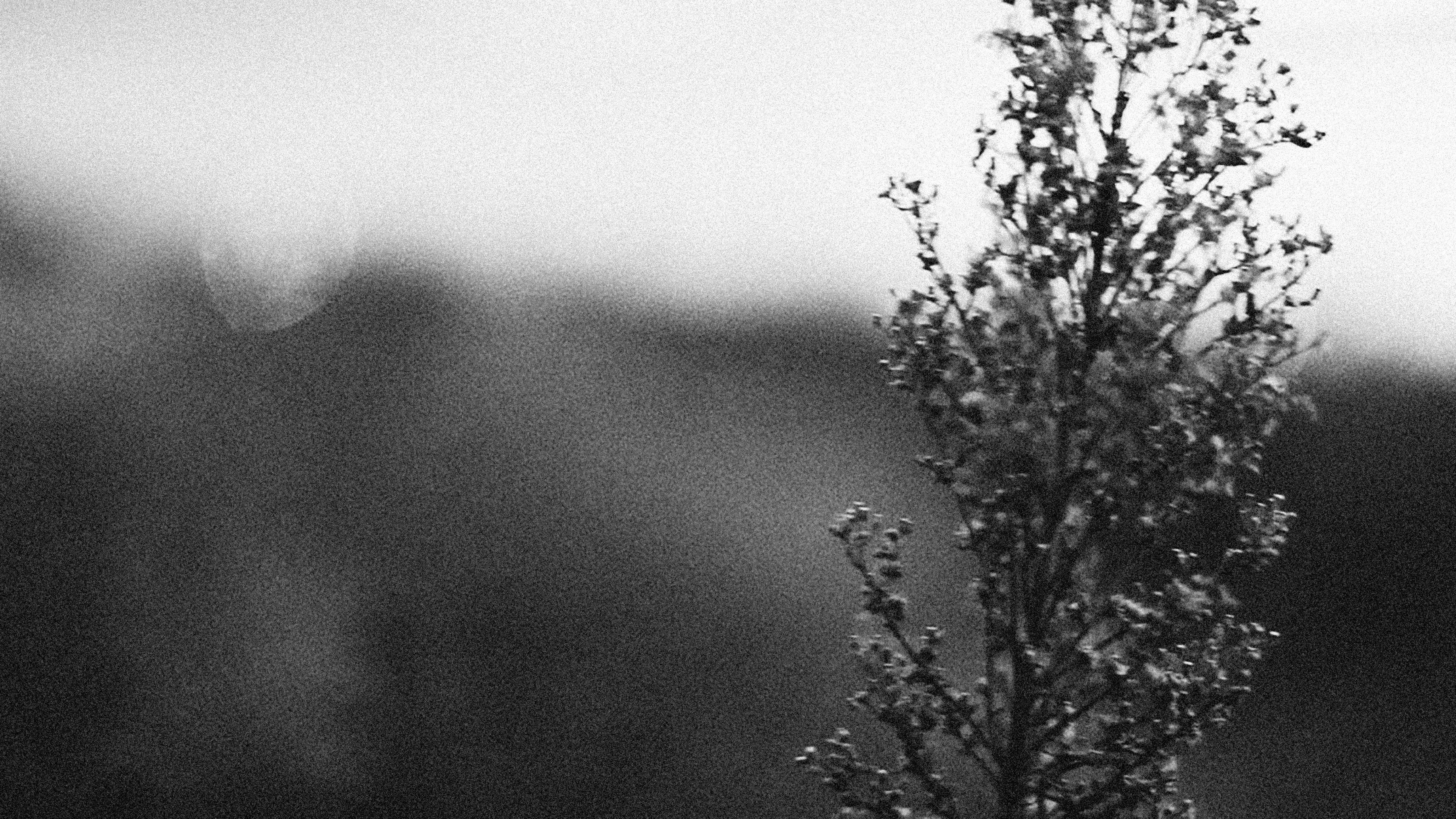 Photo by alexeydemidov