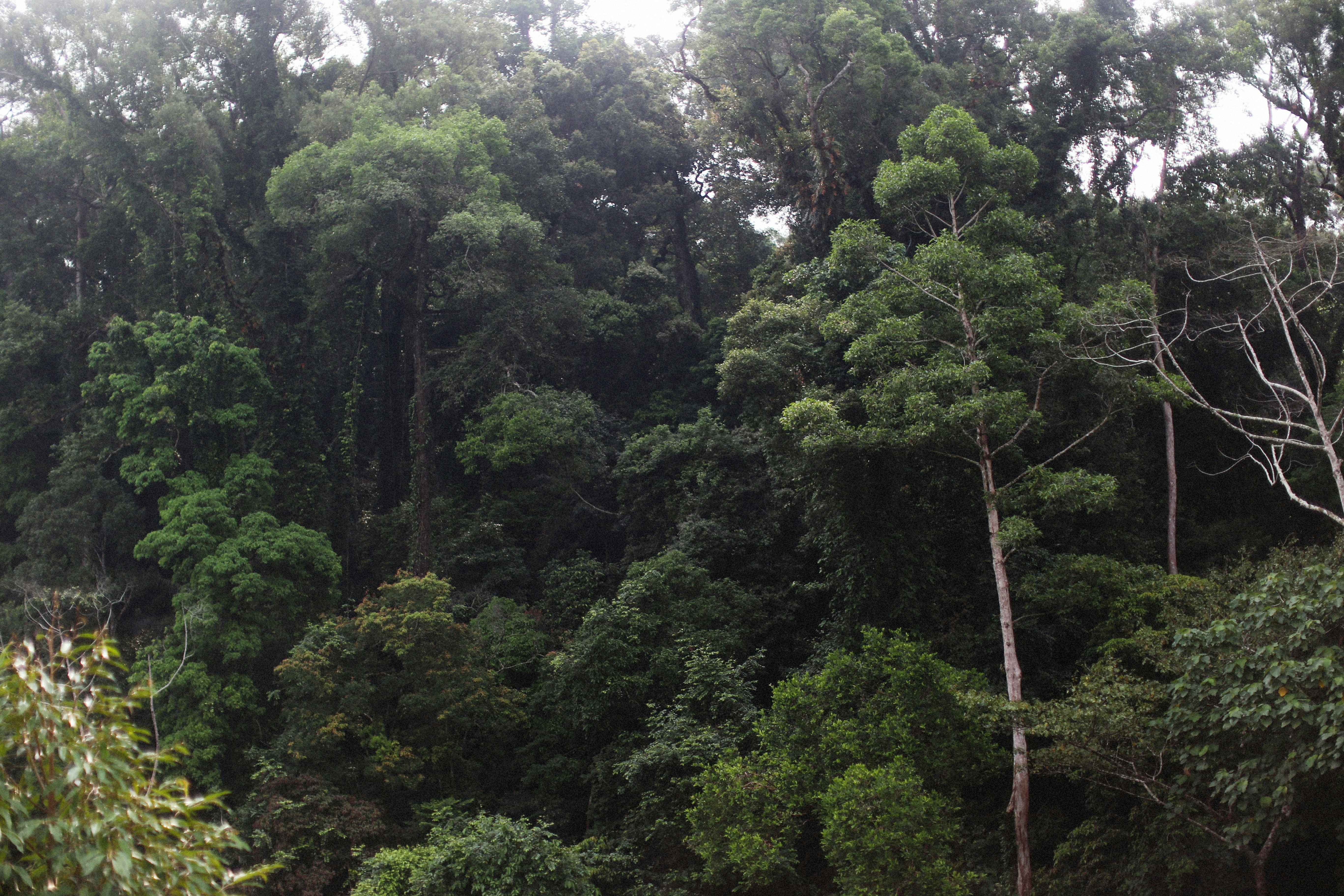 Photo by alexeydemidov