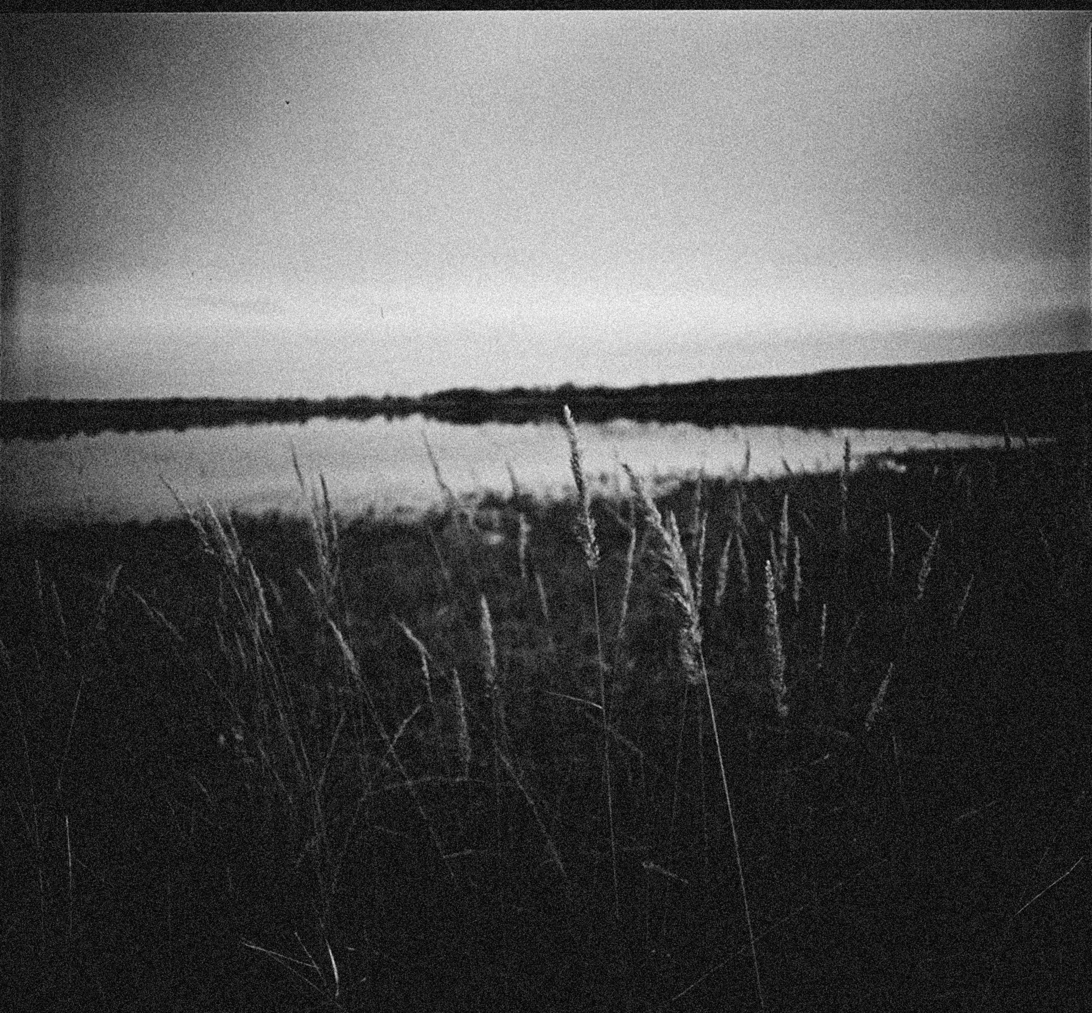 Photo by alexeydemidov