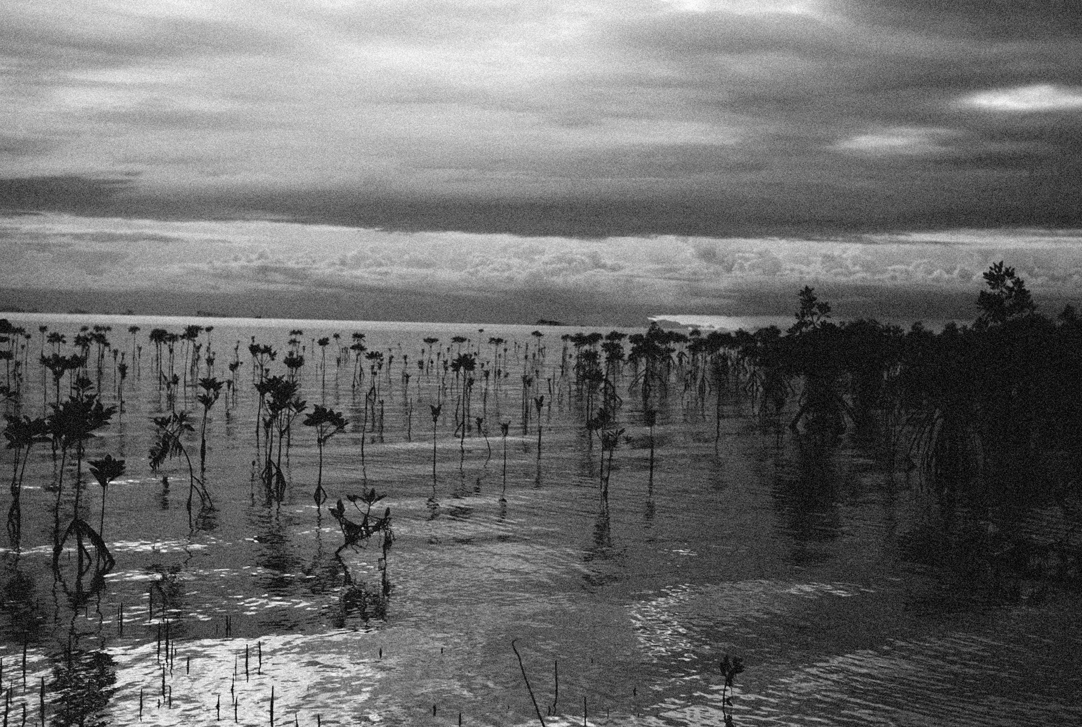 Photo by alexeydemidov