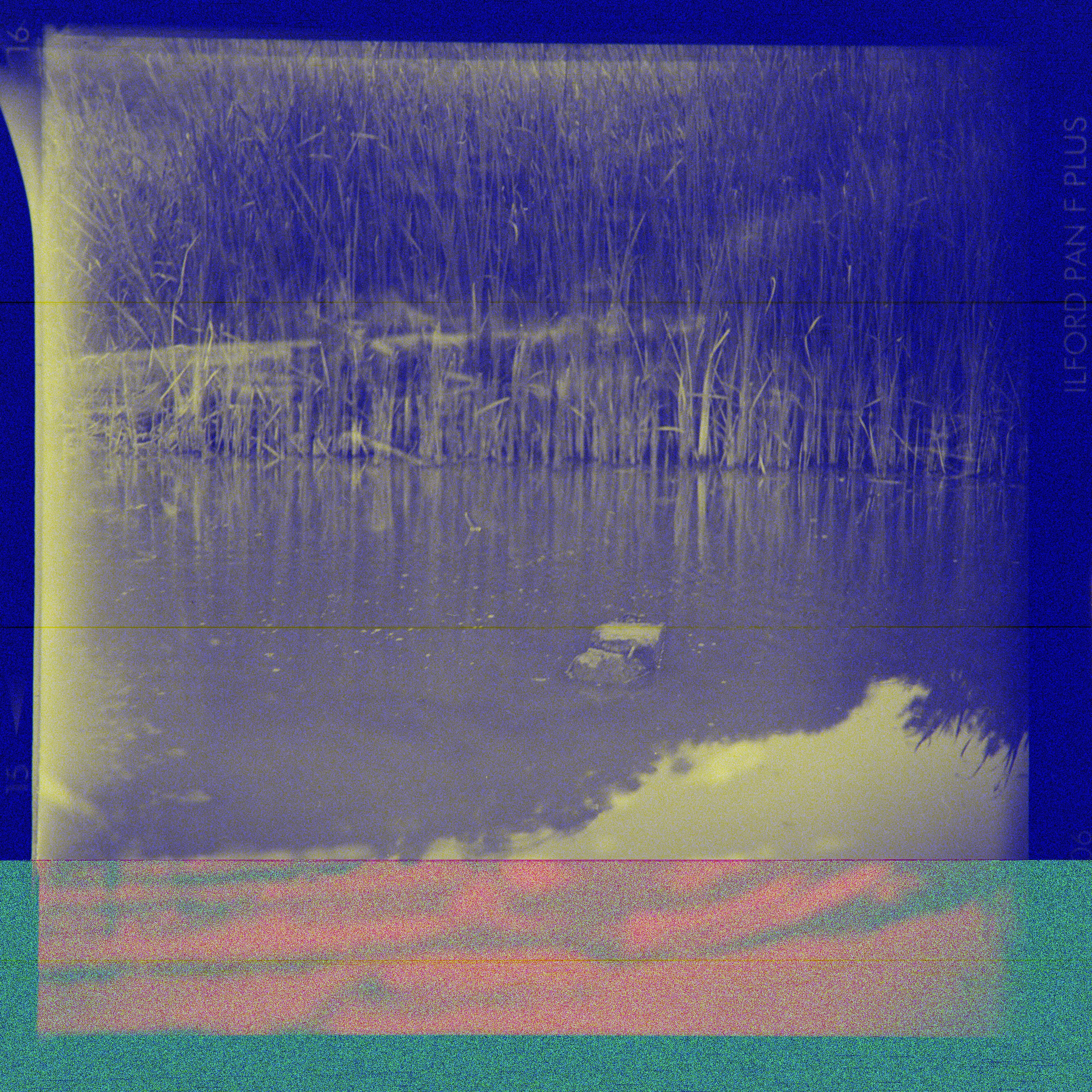 Photo by alexeydemidov