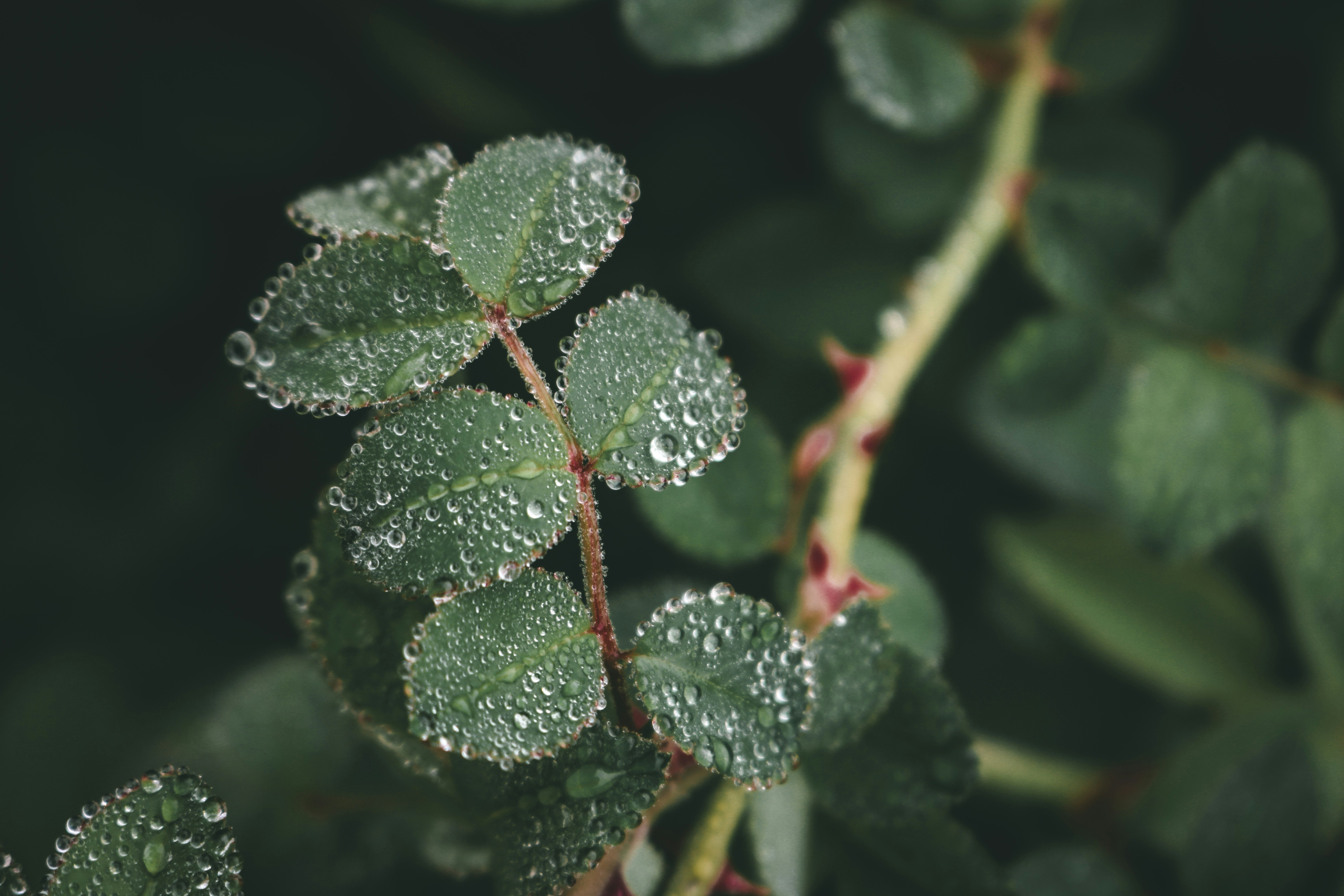 Photo by melisamorales