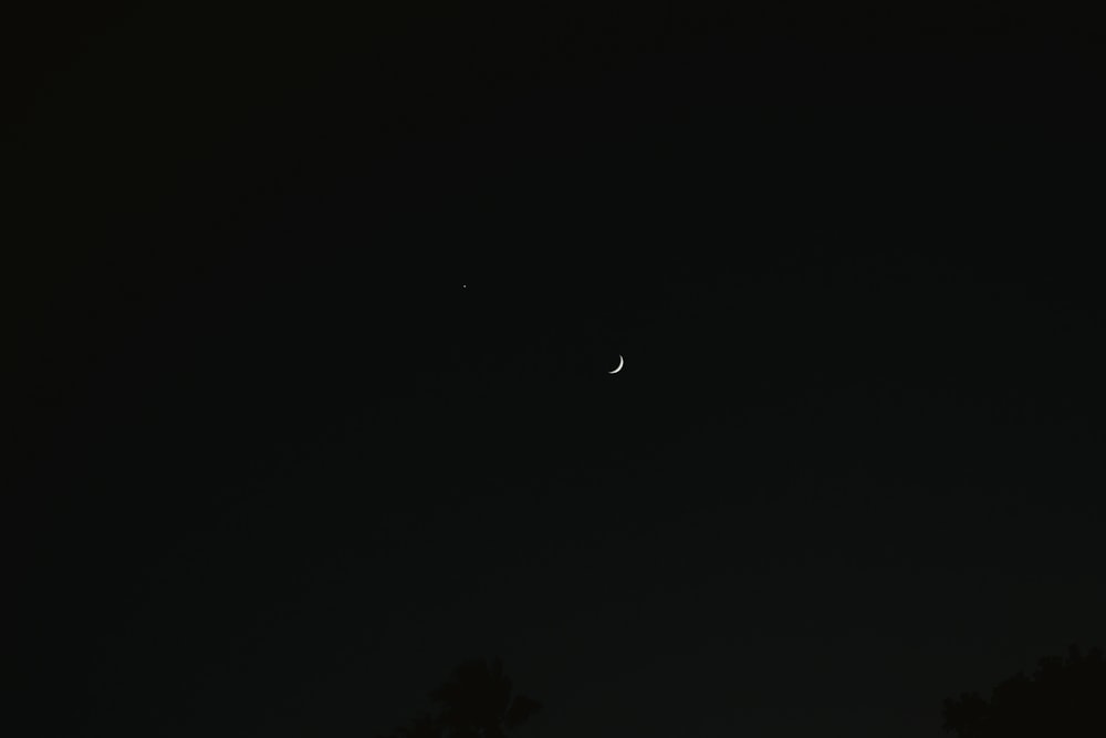 the moon and venus are visible in the night sky